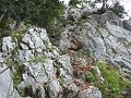 P1010361