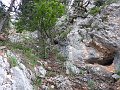 P1010362