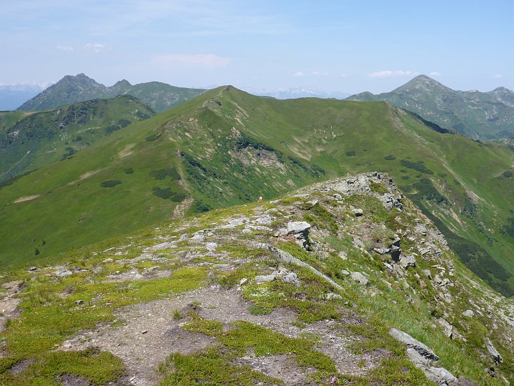 P1010795.JPG - Aber. Ich sollte zurück.