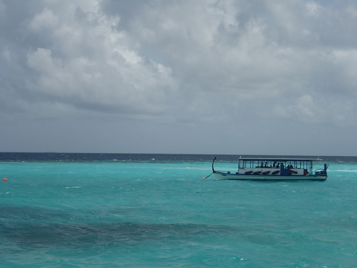 1020441.jpg - Dhoni