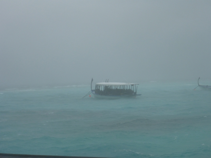 1020565.jpg - Dhoni im Sturm