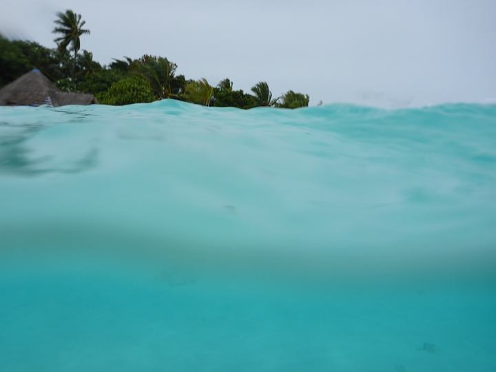1020762.jpg - Blubb blubb
