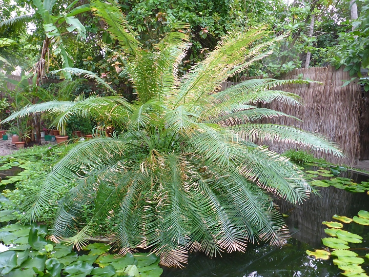 1030731.jpg - Auch nett