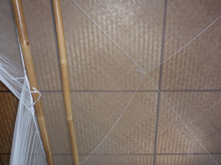 P1030217.JPG - Mein Blick im Zimmer :-)