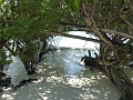 P1020342