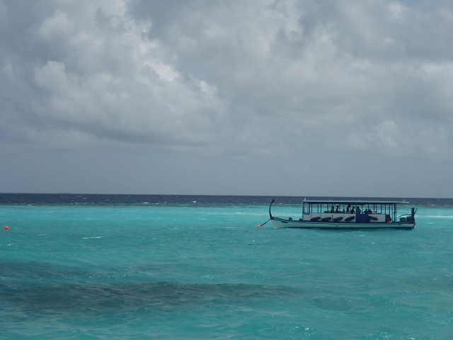 1020441.jpg - Dhoni