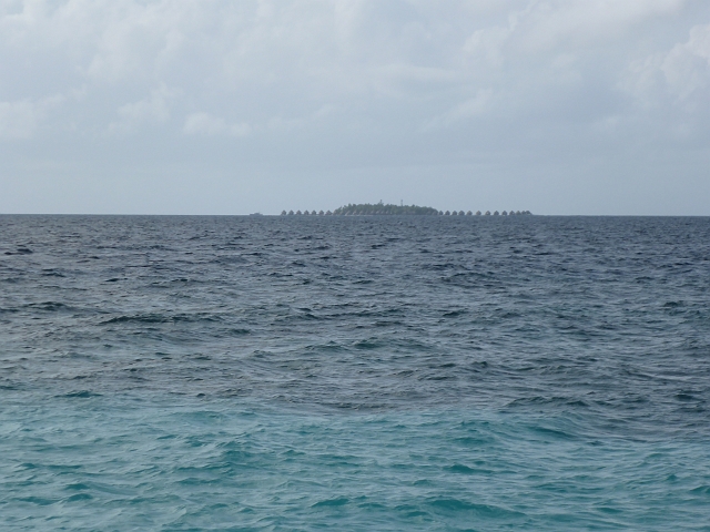 P1030121.JPG - Die da gefällt uns besser ;-)