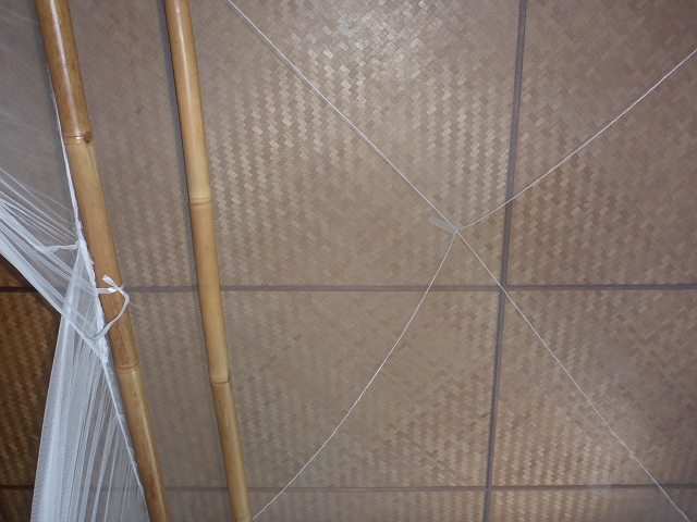 P1030217.JPG - Mein Blick im Zimmer :-)