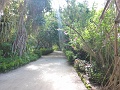 P1030095