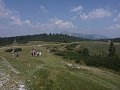 P1030852