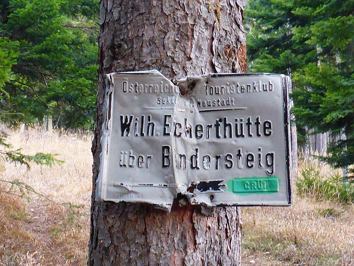 P1040440.JPG - Vor dem Seiser Toni rechts den Bindersteig hinauf.