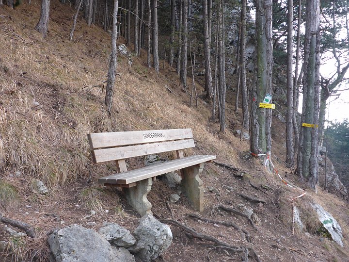 P1040455.JPG - Die Binderbank! Die war noch im Sommer mitten im Wald