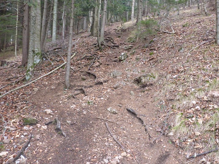 P1040540.JPG - Der Gegenanstieg hats aber in sich. Ich schnaufe ordentlich. außerdem.. das wird noch sehr weit werden. Bis Dreistetten....