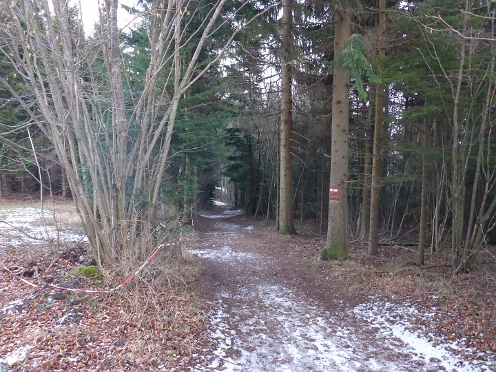 P1040573.JPG - Dann aber bin ich schon am Weg zwischen Kohlröserlhaus und Herrgottschnitzerhütte.