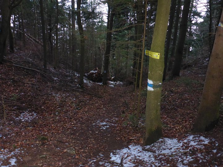 P1040575.JPG - Da gehts den Bründlriessteig runter.