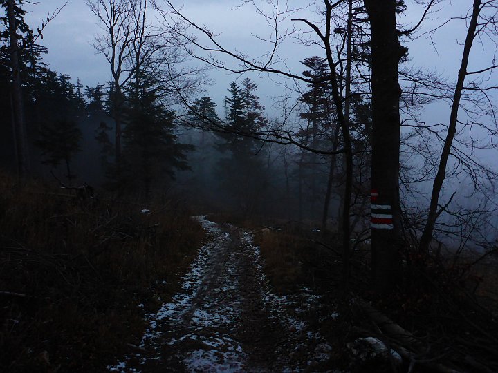 P1040583.JPG - In den Nebel