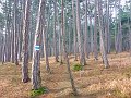 P1040411