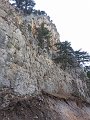 P1040452