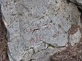 P1040457