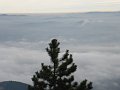 P1040520