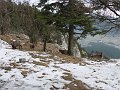 P1040529