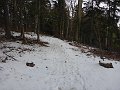 P1040533