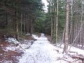 P1040549