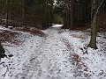P1040550
