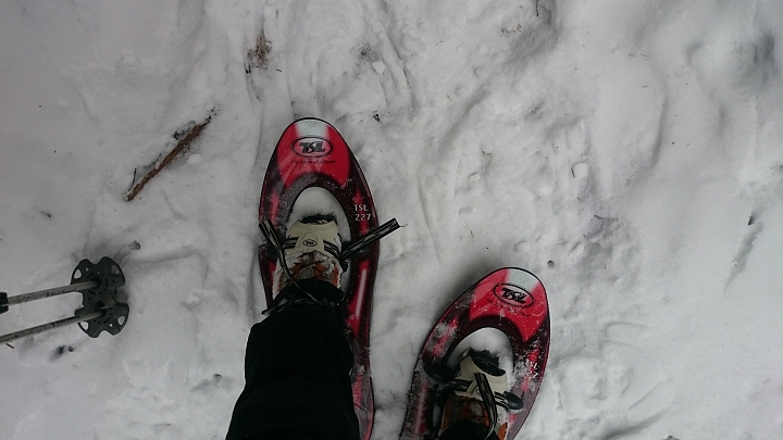 DSC_1771.JPG - Wir wechseln auf Schneeschuhe