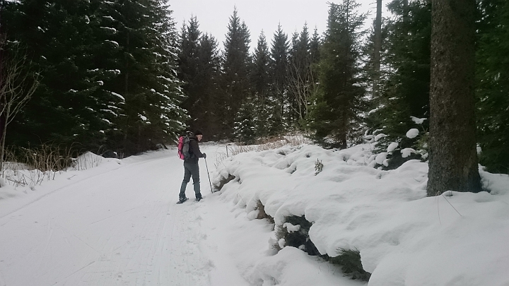DSC_1773.JPG - Kleine Stücke gehen wir auf der Loipe