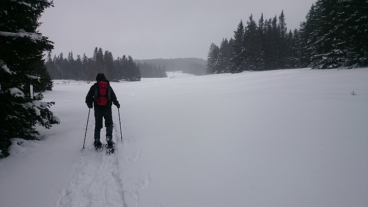 DSC_1784.JPG - Es folgt eine flache Genußetappe, auf der ich aber...