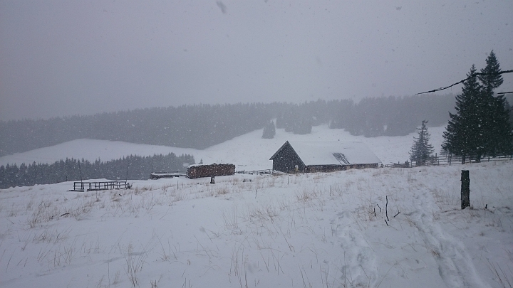 DSC_1786.JPG - Kranichberger Schwaig. Der Schneefall...