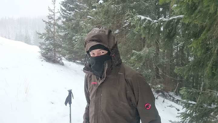 DSC_1791.JPG - Es beginnt zu stürmen, sogar im Wald... Wir...