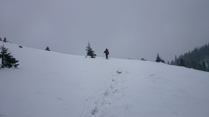 DSC_1794.JPG - Nach ein paar Metern merken wir: Sowohl Plan B (Hochwechsel) als auch Plan C (Schöberlriegel) machen im Schneesturm nur bedingt Spaß. Wir beschließen auf den Arabichl zu gehen.