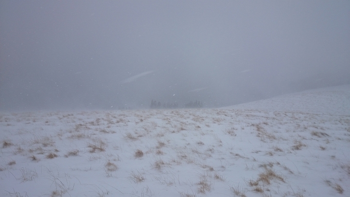 DSC_1809.JPG - Blick zum Hochwechsel.