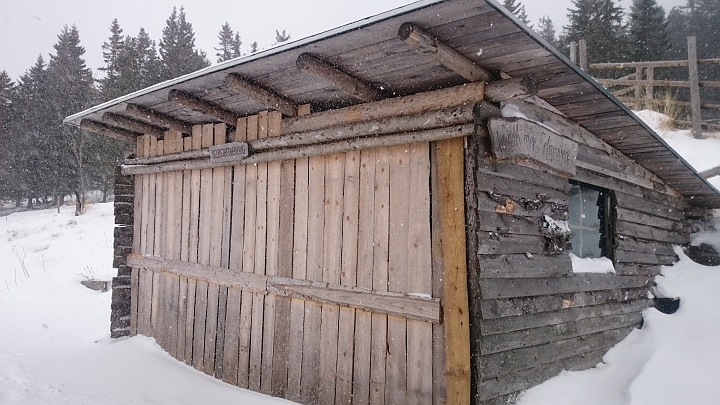 DSC_1813.JPG - Kurze Rast auf der Kranichberger Schweig