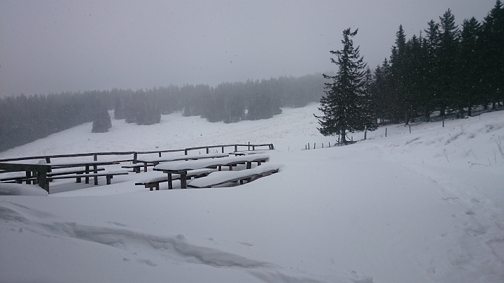 DSC_1814.JPG - Es schneit nun ordentlich