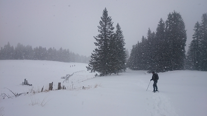 DSC_1816.JPG - Weiter gehts. Vorne sieht man die einzigen drei Wanderer, die wir heute gesehen haben.