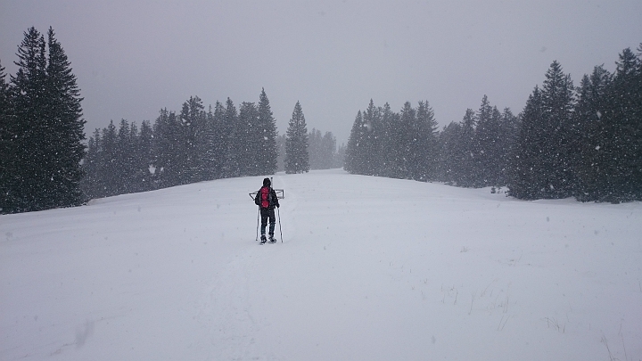 DSC_1819.JPG - Dichter Schneefall, aber das ist halt so im Winter ;-)