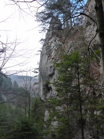 P1040690.JPG - Rückblick