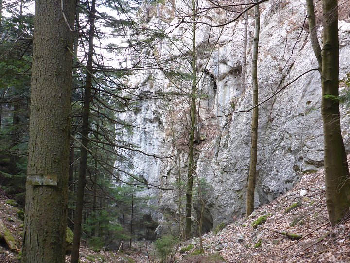 P1040695.JPG - Blick zurück