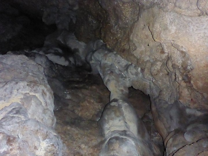 P1040703.JPG - Leider wurde die Höhle "ausgeräumt"