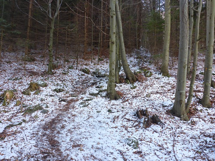 P1040736.JPG - und weiter