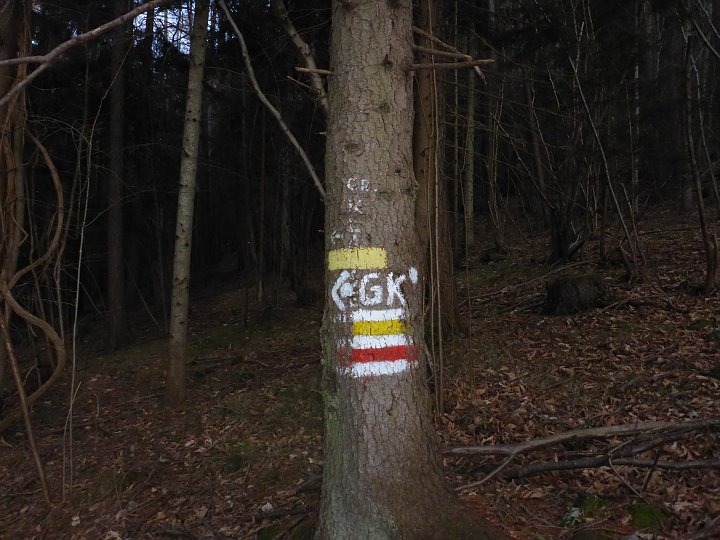 P1040767.JPG - Unten angelangt, gehen wir die markierte zur GK (Große Klause)