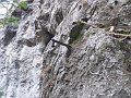 P1040691