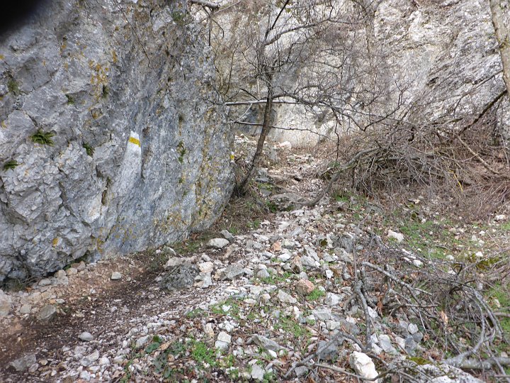 P1040814.JPG - Nun geht es den Schutt einen Graben hinauf. Übrigens gibt es am ganzen Steig keine einzige Leiter.