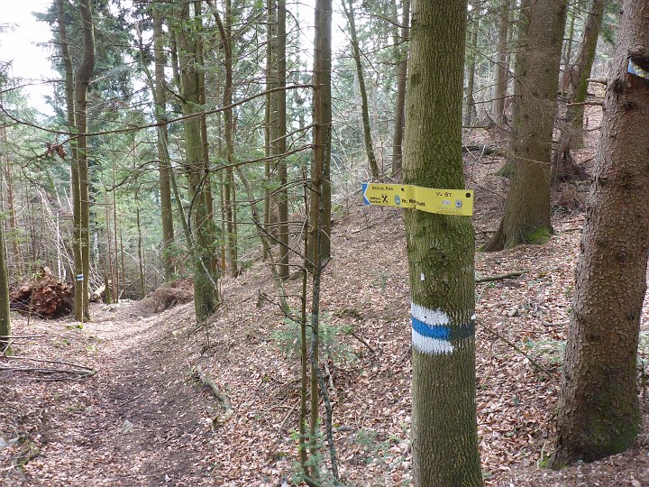P1040833.JPG - Aber dann! Wiedereinmal überkommt mich der Wahnsinn.... Ich beschließe den Bründlriessteig abzusteigen, und dann den Hanslsteig wieder raufzusteigen! Ich brauche Höhenmeter!