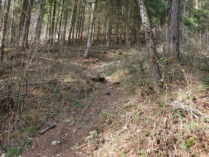 P1040843.JPG - Denn der ist heftig steil, und ich hab schon 600hm zu diesem Zeitpunkt in den Beinen.