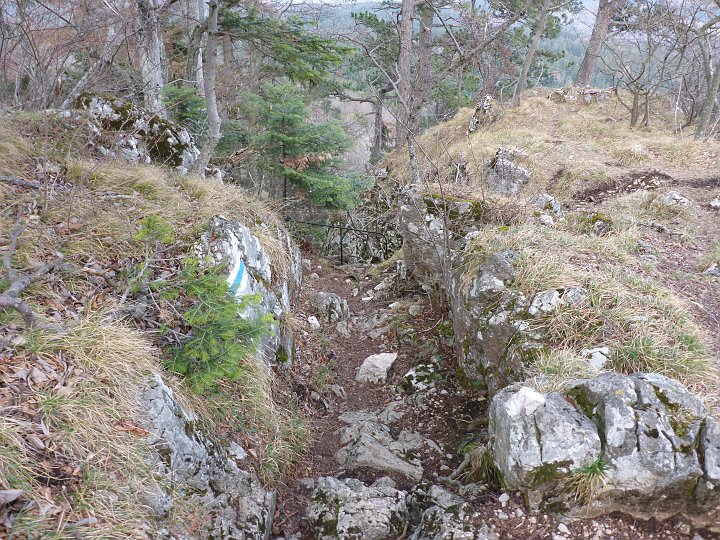 P1040871.JPG - Dann geht es Steig Nummer vier,  nach Leiterl, Bründlries und Hansl, den Drobilsteig hinunter.