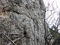 P1040815